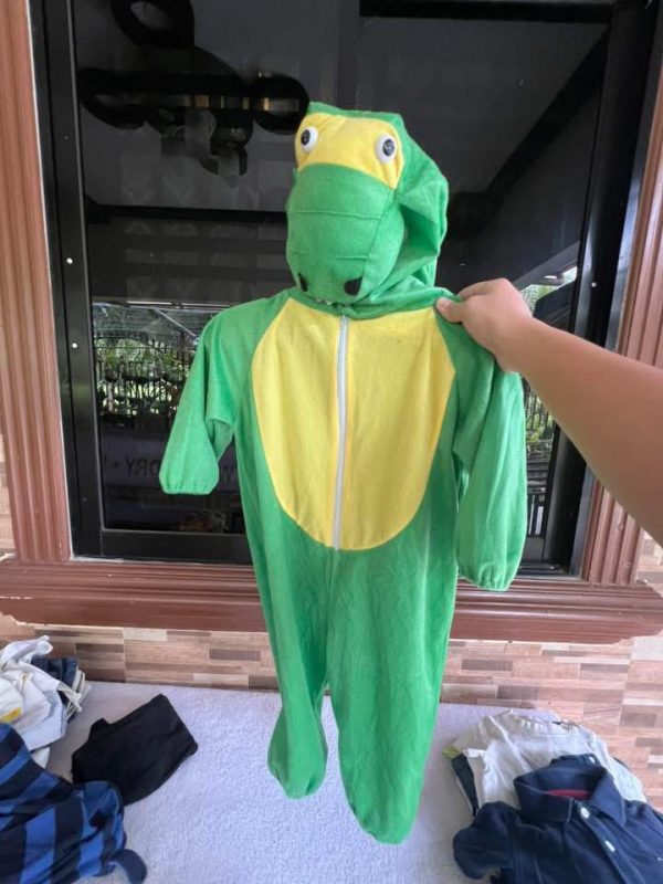 dinosaur custom liquidation pallets dinosaur custom liquidation pallets