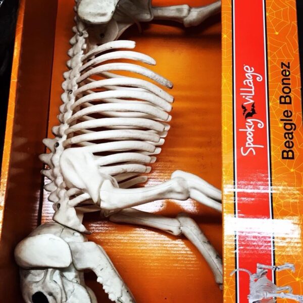 wholesale halloween closeouts pallets wholesale halloween closeouts pallets